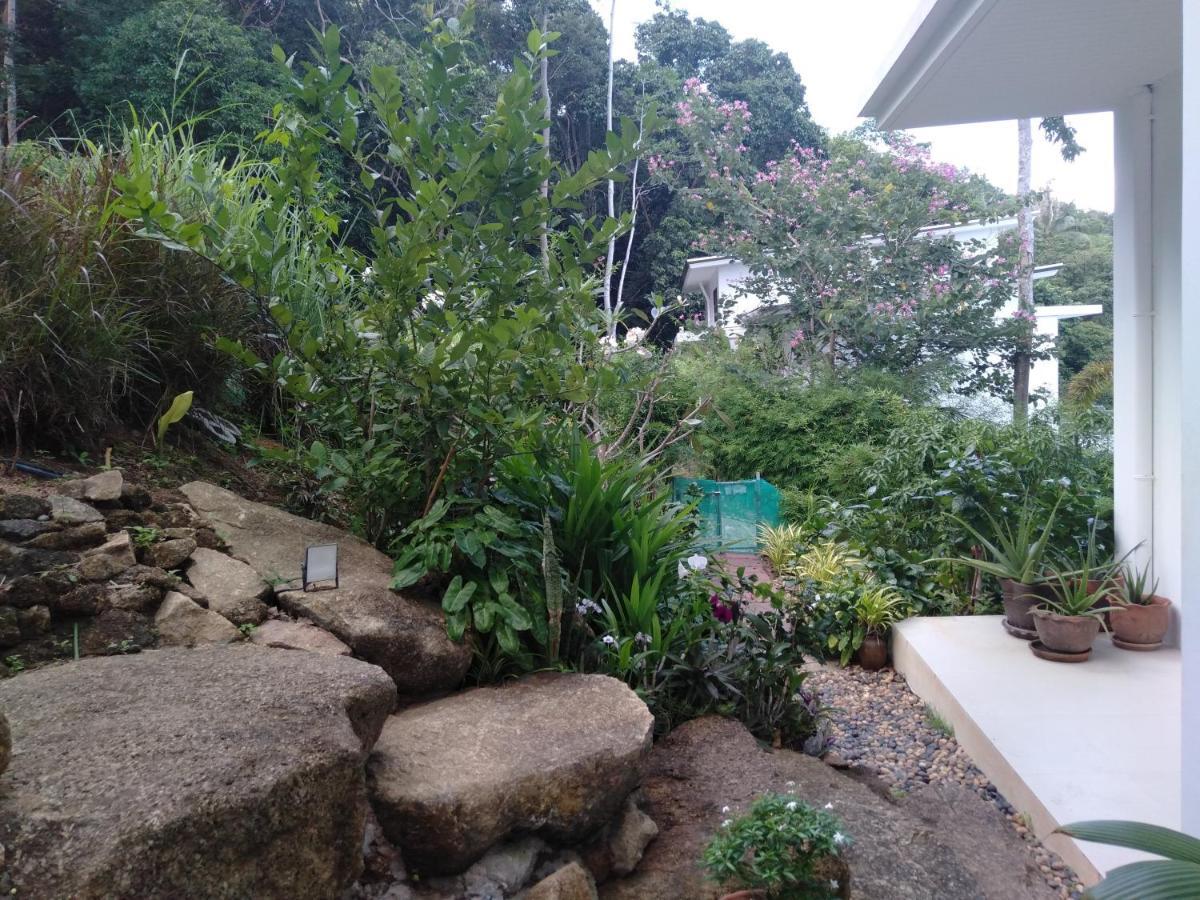 Perfect Sea View Mountain Villa Koh Samui Chaweng  Zewnętrze zdjęcie