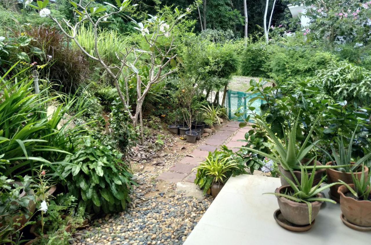 Perfect Sea View Mountain Villa Koh Samui Chaweng  Zewnętrze zdjęcie